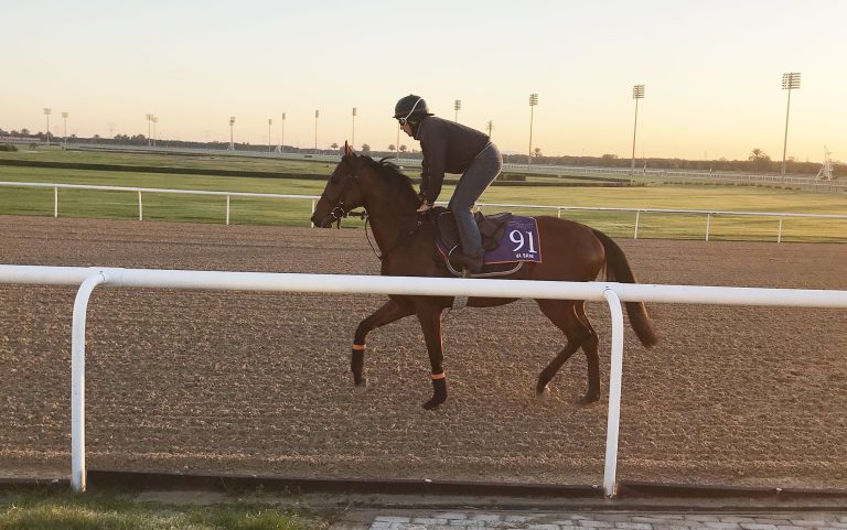 Va Bank fällt verletzungsbedingt aus