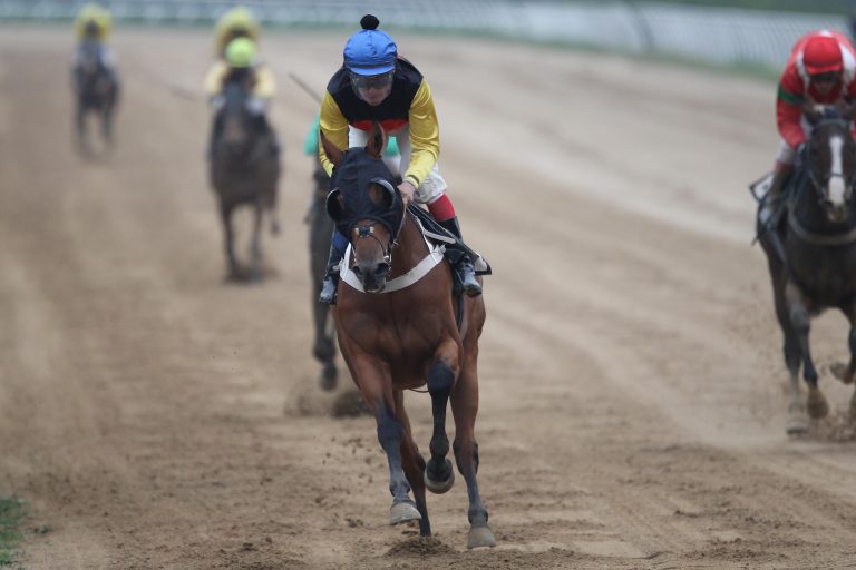 Es kann losgehen: Vieles spricht für Starke!