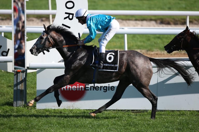 Stall Dipolis Valajani für 265.000 Euro verkauft