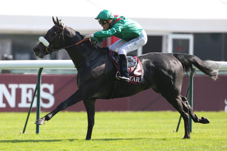 Vazirabad-Halbschwester für deutsche Zucht?