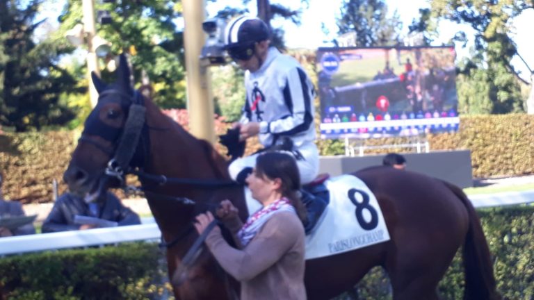 Vents Contraires (Archiv)