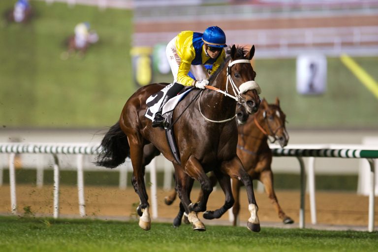 Karriere-Ende für de Kocks Vercingetorix