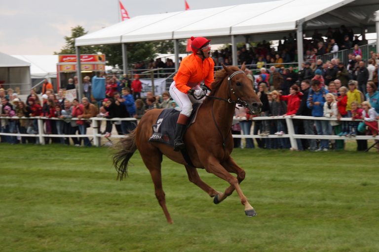 Doberaner Renntage sind nicht mehr gefährdet
