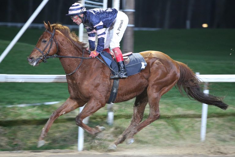 Pietsch und Bolte mit zwei Siegen in Dortmund