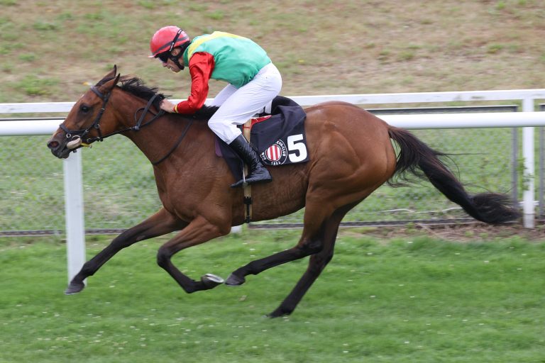 Filmreif – Video Diva sorgt für 4. Schleusner-Sieg