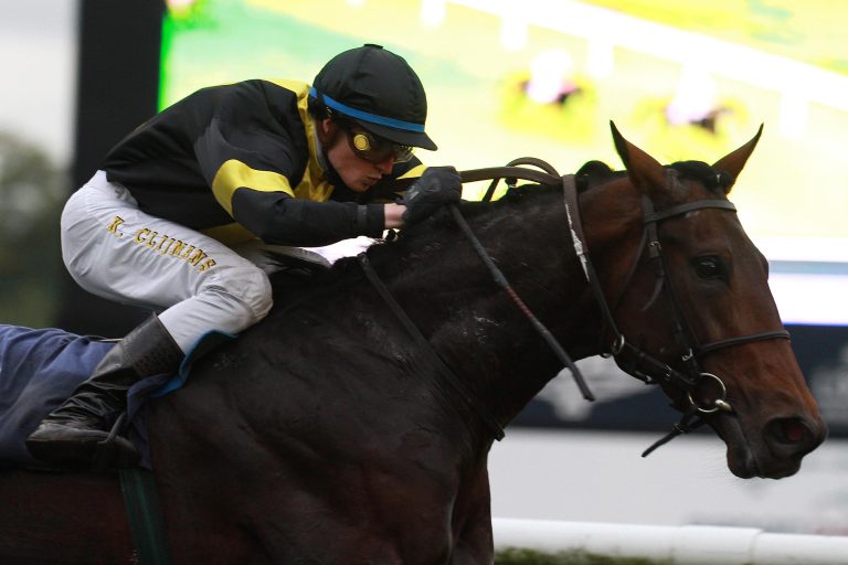 Vif Monsieur Dritter vor Nymphea im Bosphorus Cup