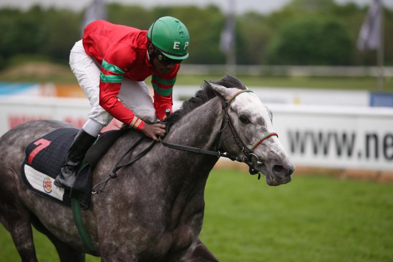 Wöhlers Villardo nach Australien verkauft