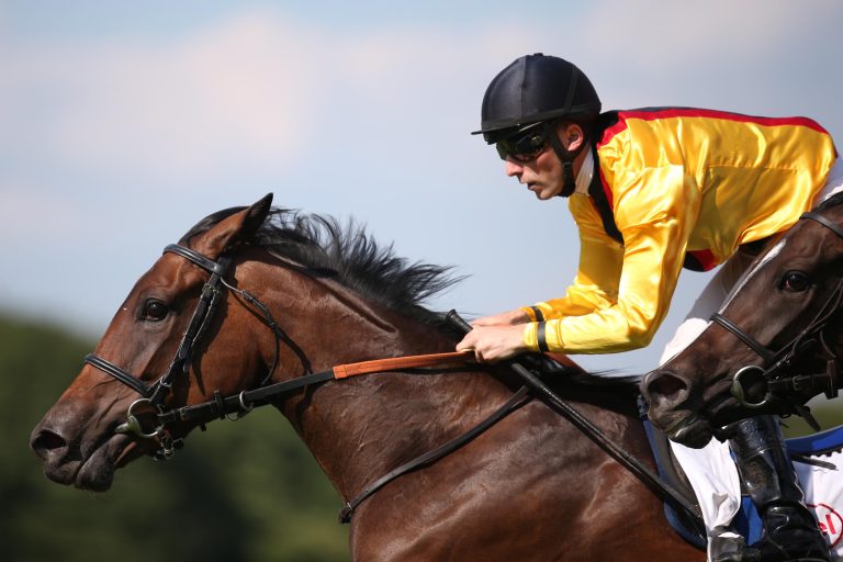 Noch zehn Ladies im T. von Zastrow Stutenpreis