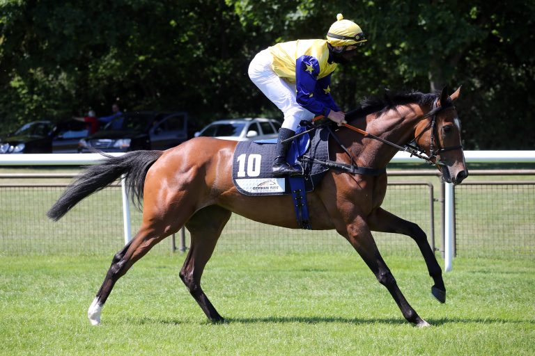 Vivienne Wells auch im Derby platziert