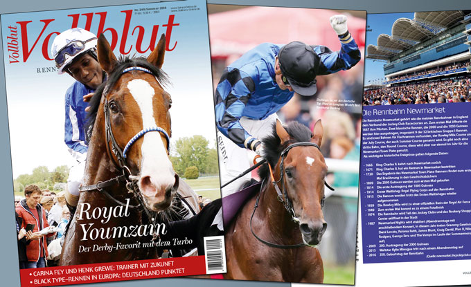 Die neue Vollblut erscheint kommende Woche