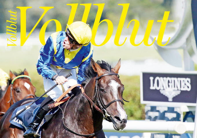 Neue Vollblut ist da: Jacobs, Zweijährige, Brexit