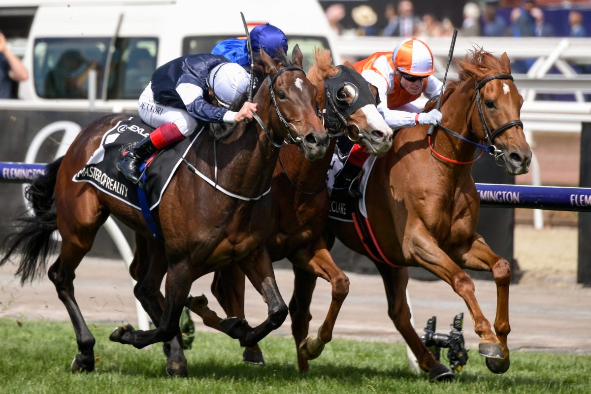 Clash der Melbourne CupSieger