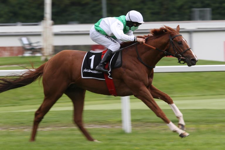 Wahiba Sands (Archiv)