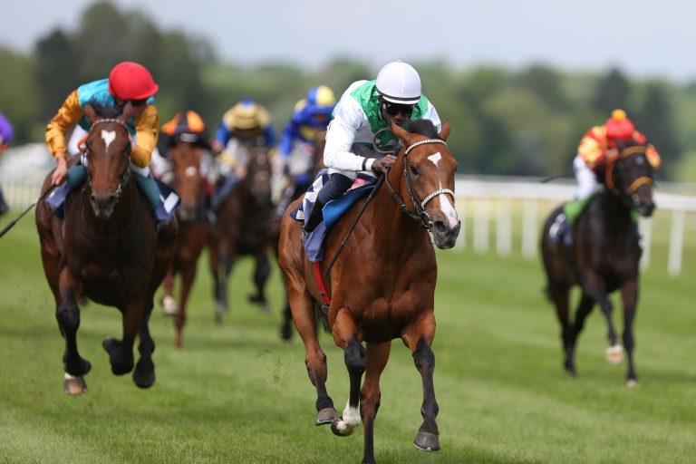 Potemkin fordert Wai Key Star heraus