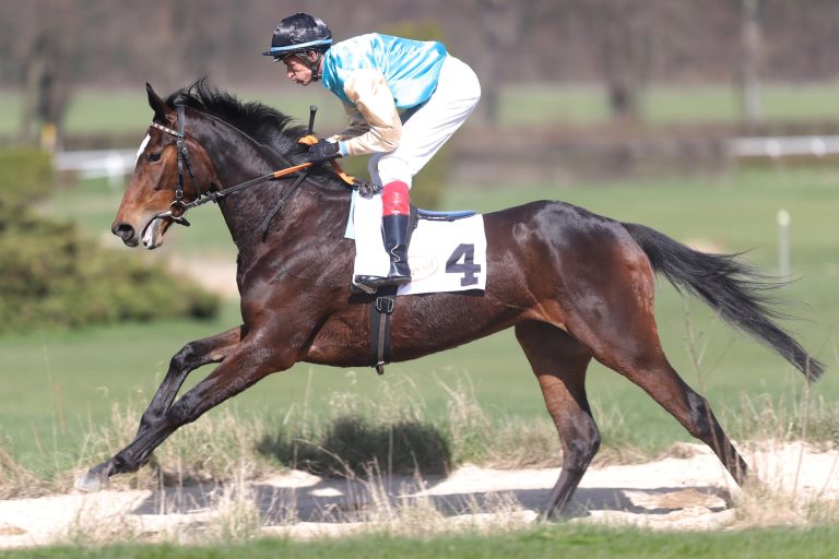 Waikita punktet für Röttgen in Leipzig