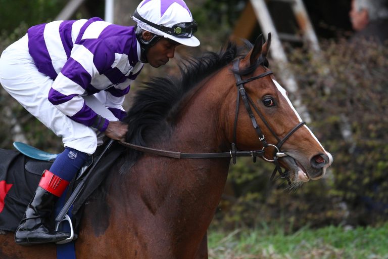 Wake Forest für Retirement geclaimt