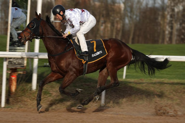 Auenquelle-Treffer und erster Gras-Sieg für Waldana