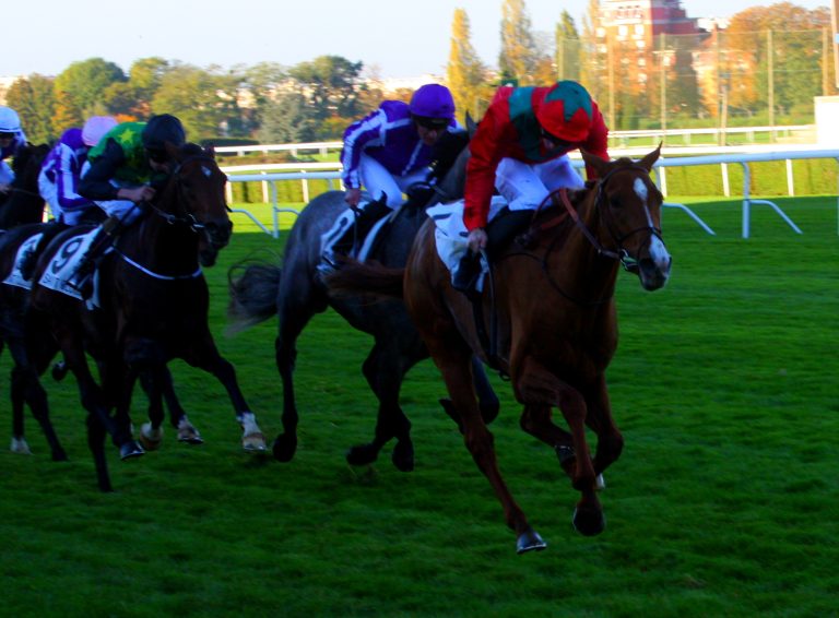 Ballylinch verkündet ersten Waldgeist-Nachwuchs