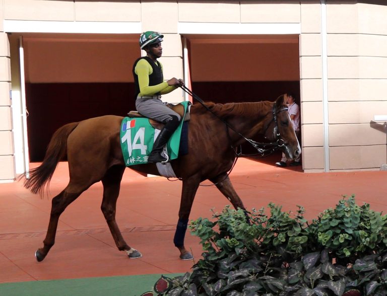 „Waldgeist hat routiniert gearbeitet“