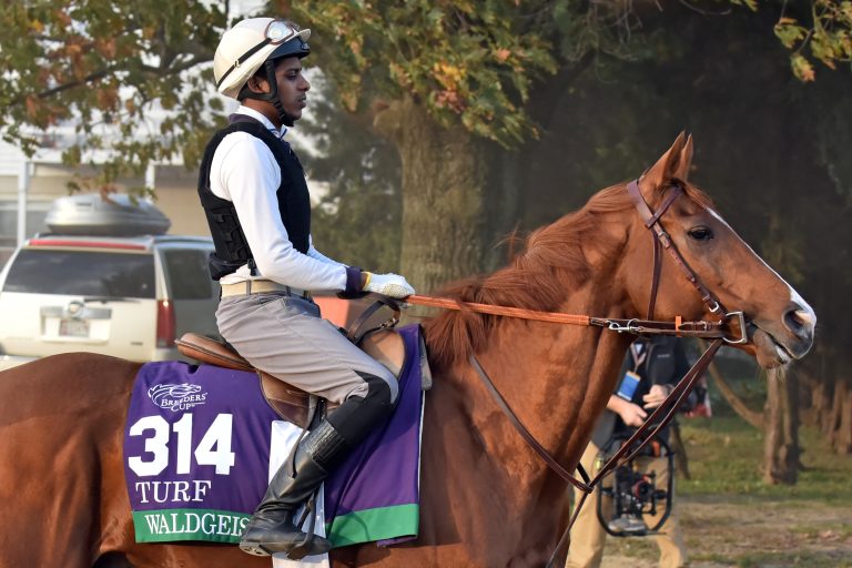 „Waldgeist wird die Bahn in Sha Tin lieben“