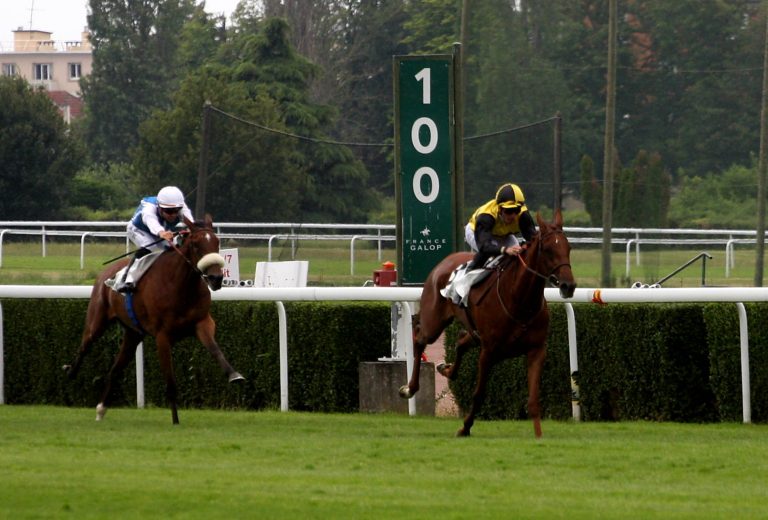 Auch Waldgeists Schwester mit Gruppesieg