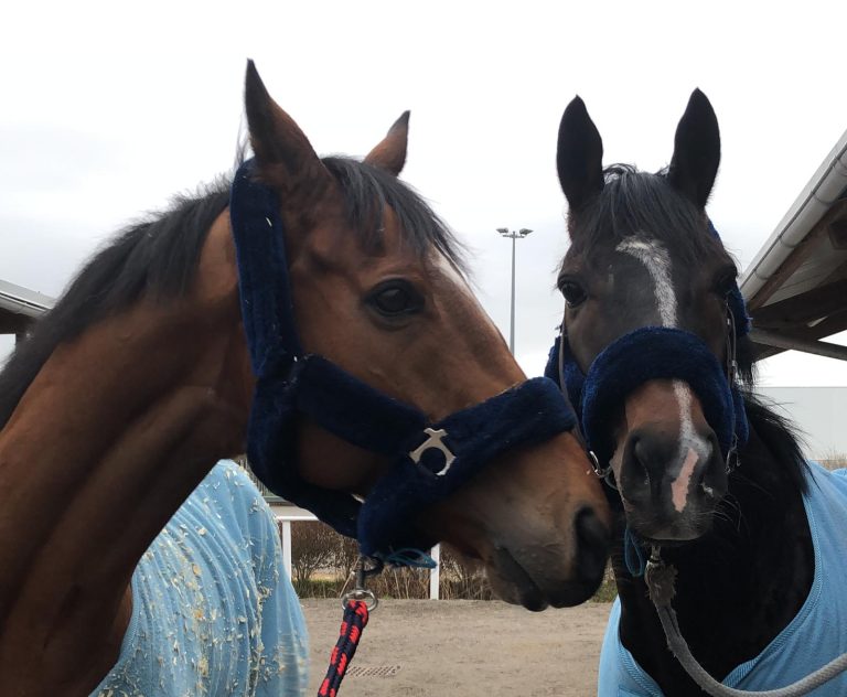 Walec (li.) und Tabularasa