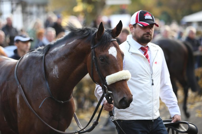Saint-Cloud: Walsingham Dritter auf Listenparkett