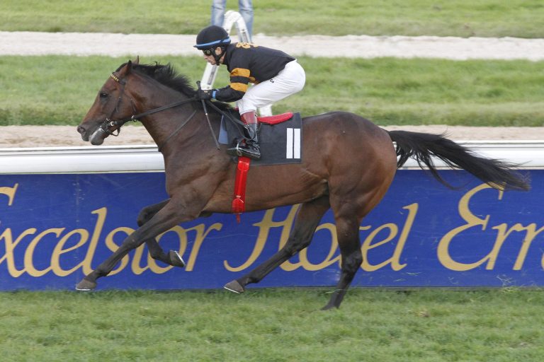 National Hunt-Stallion Walzertakt lebt nicht mehr