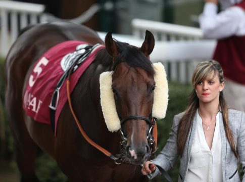 Deutsches Blut in Frankreich: Walzertakt-Sohn vor Lauro-Tochter Walzertakt