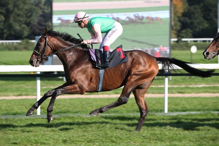 Keine Meydan-Gold-Cup-Einladung für Wasir