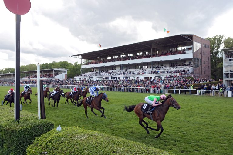 Wasir im American St. Leger am Start