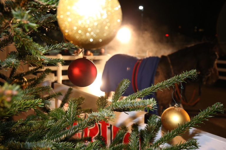 GaloppOnline.de und die Sport-Welt wünschen frohe Weihnachten!