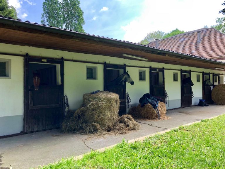 Weißmeier zum Auftakt mit prominenter Unterstützung