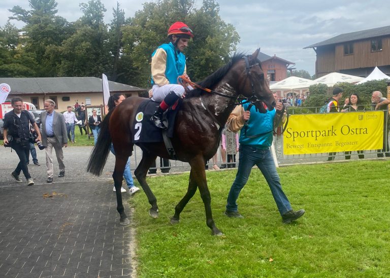 Röttgens Wellenbrecher top im Dresdner Jugendpreis