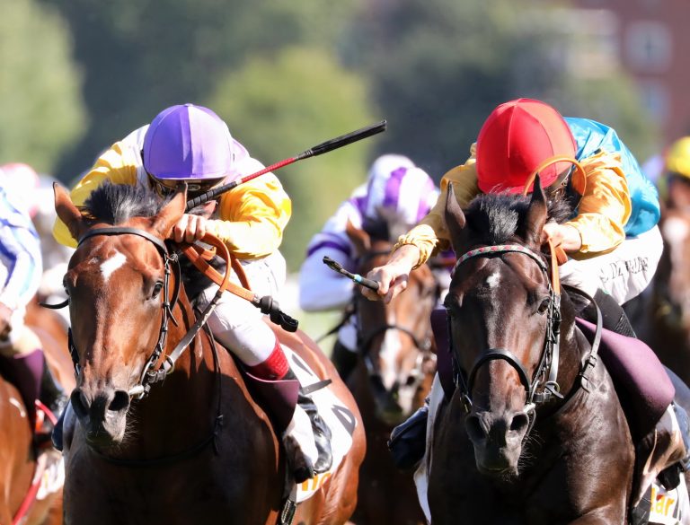 Der „Grüne Kalender 2019“ – jetzt bestellen