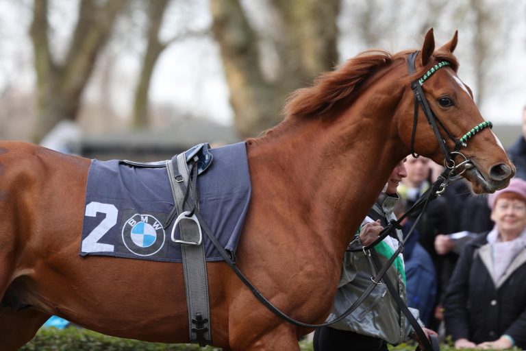37,3:1! Wesenberg wird zum Toto-Schocker