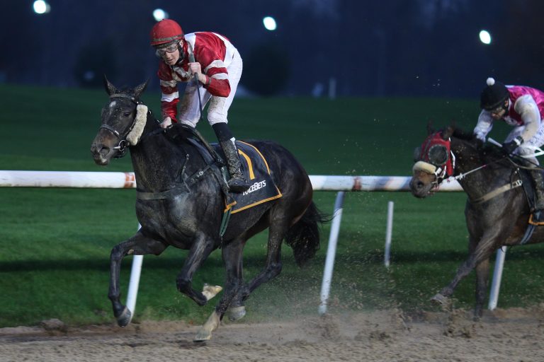 Whishawizz siegt als Geburtstagsgeschenk