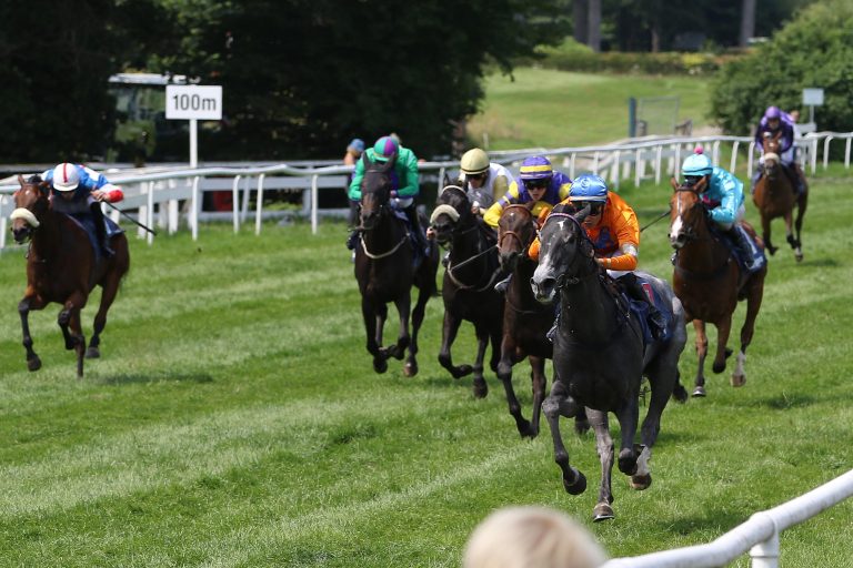 Wild Ballerina tanzt die Gegner aus
