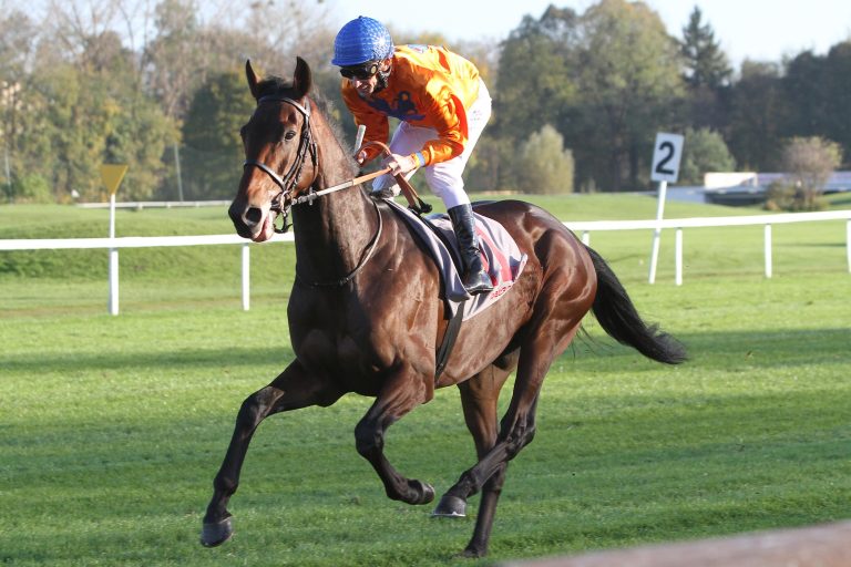 Gruppe-Sieger Wild Chief wird Deckhengst