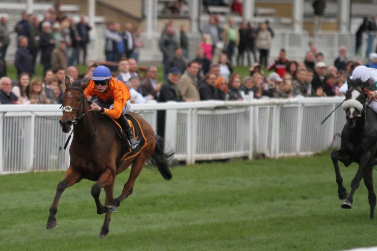 Kleins Wild Comet punktet in der Auftaktprüfung