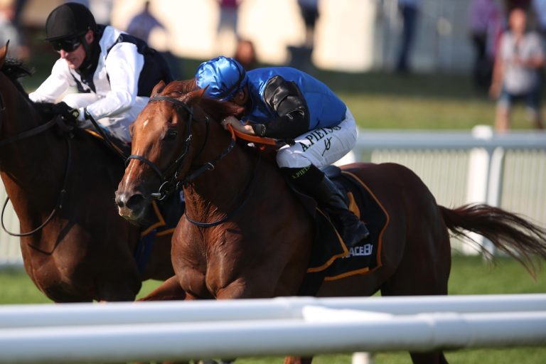 Wild Gypsy Boy (Archiv)