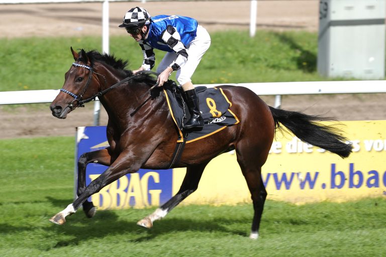 Holt Wild Max nach der Pause gleich das große Geld?