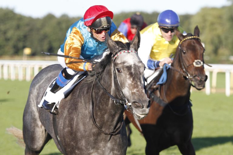 Röttgenerin Wild Silva nach Frankreich verkauft