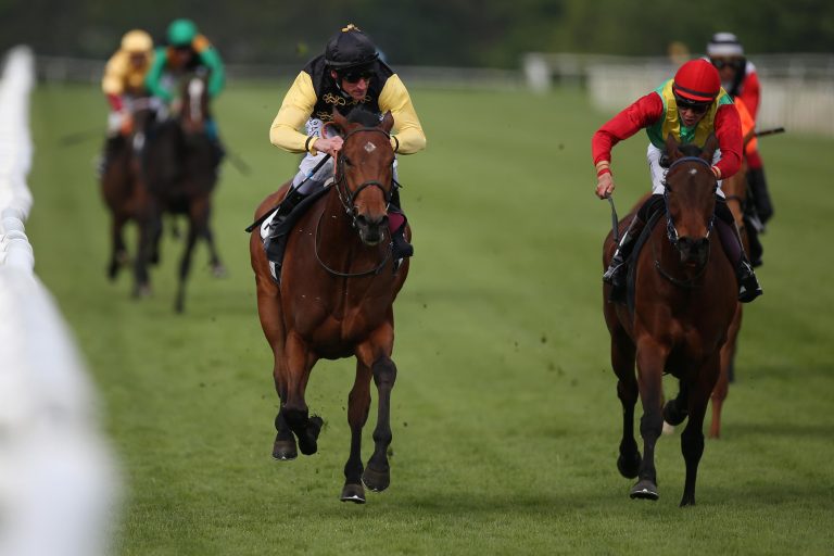 Wild Soldier sorgt für Brümmerhof-Hattrick