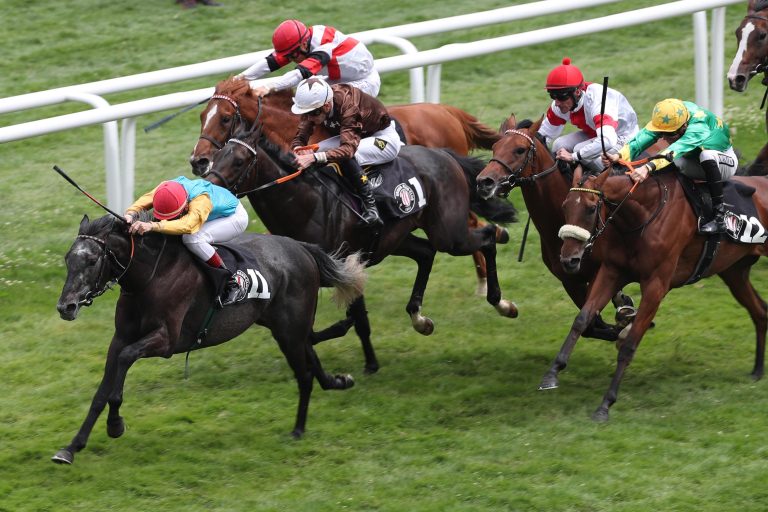 Steher-Auktionsrennen: Wilder gibt sehenswertes Comeback