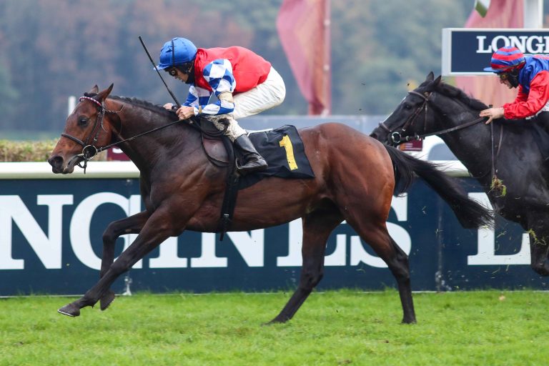 Erster Black Type-Sieg für Wildfang in Dresden?