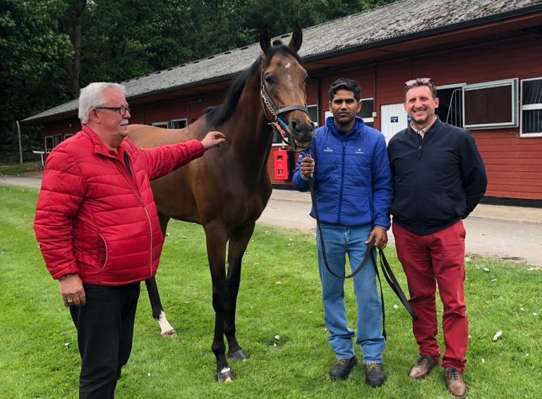 Deutsche Käufe bei Tattersalls Ascot June Sale