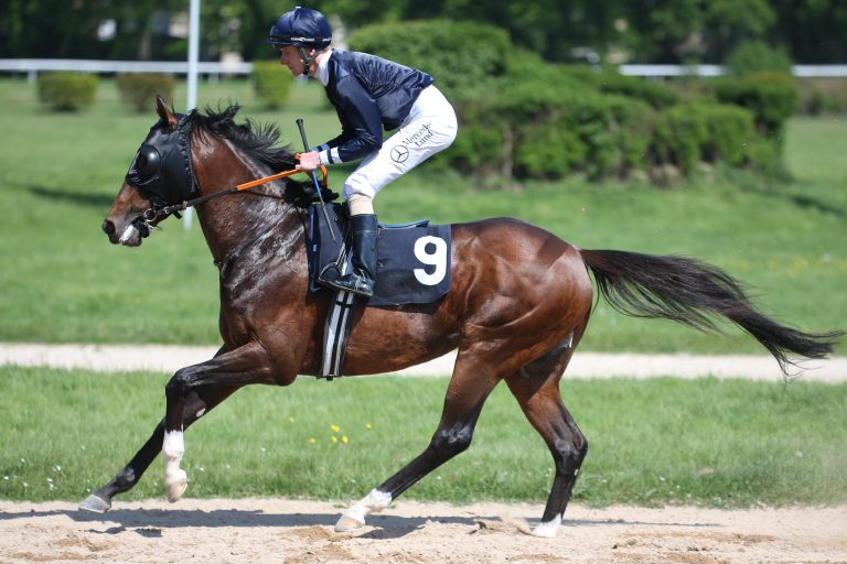 Wilshire Boulevard deckt in Dänemark