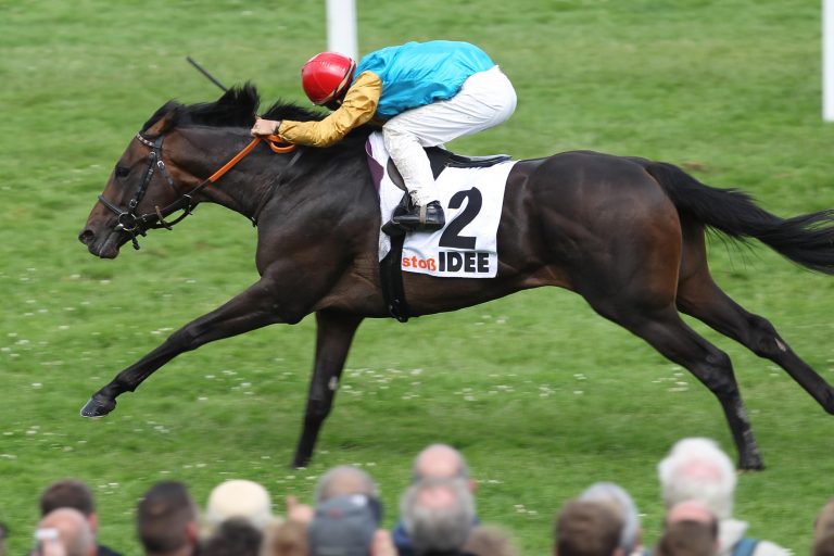 Röttgen kauft weitere Stuten für Windstoß