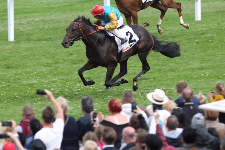 Von Windstoß bis Warring States: Das Ergebnis